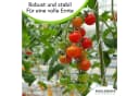 Gartenwelt Riegelsberger Tomatenspirale Stahl Silber Bild 5