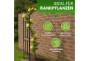 Gartenwelt Riegelsberger Rankhilfe Halbbogen Schwarz Bild 1