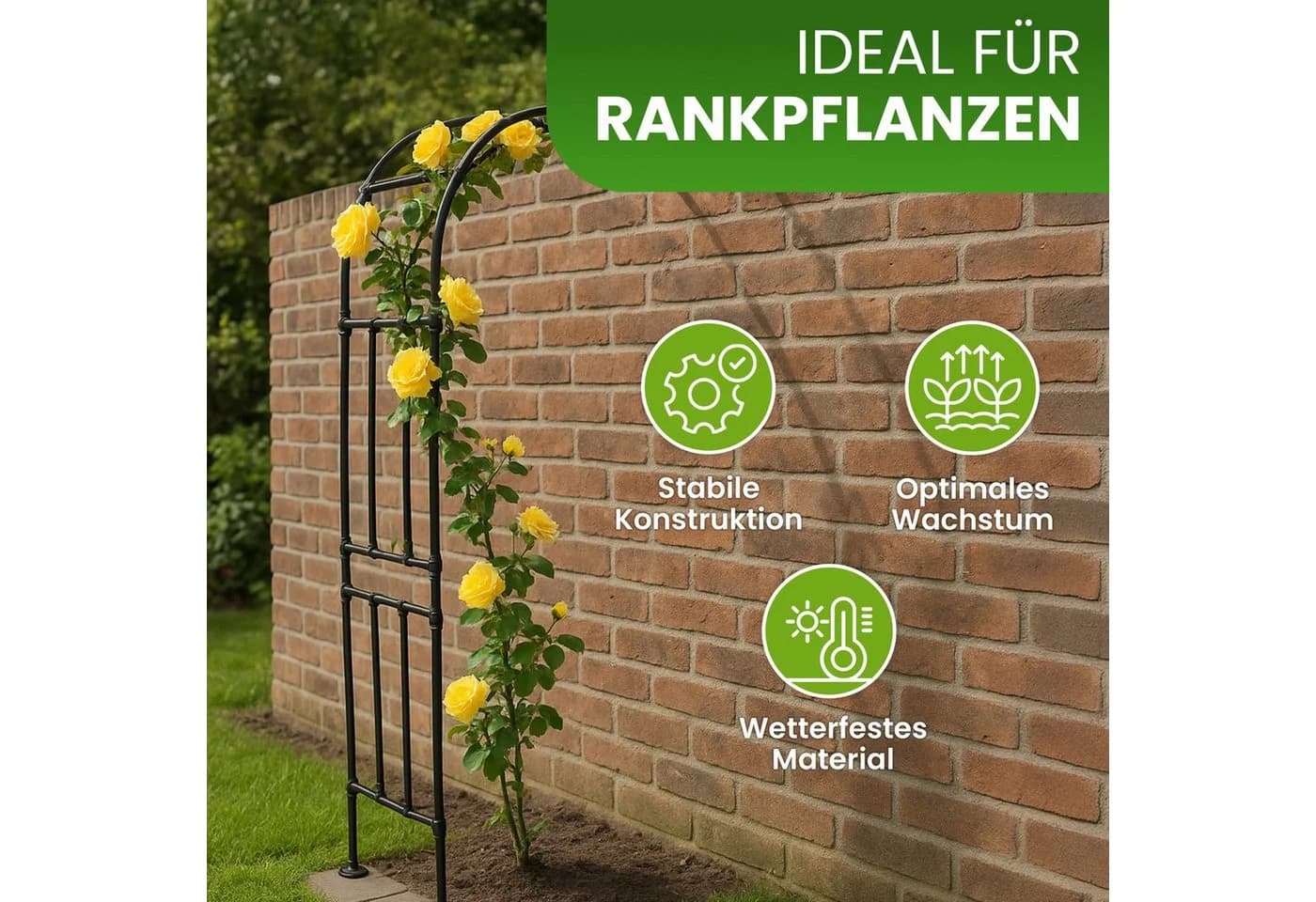 Gartenwelt Riegelsberger Rankhilfe Halbbogen Schwarz