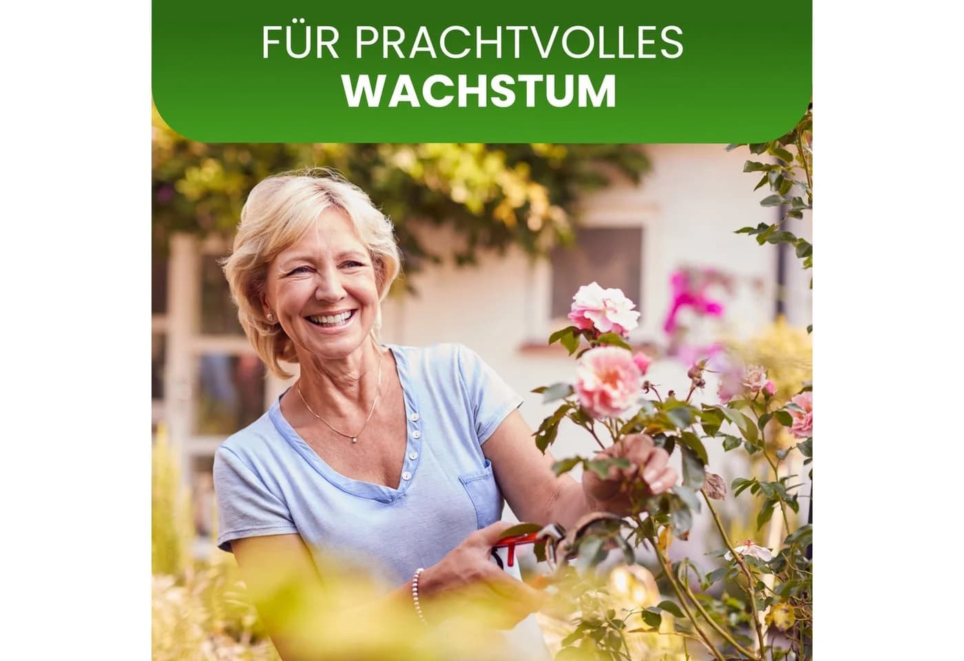 Gartenwelt Riegelsberger Rankhilfe Halbbogen Schwarz - Bild 4