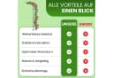 Gartenwelt Riegelsberger Rankhilfe Halbbogen Schwarz Bild 5