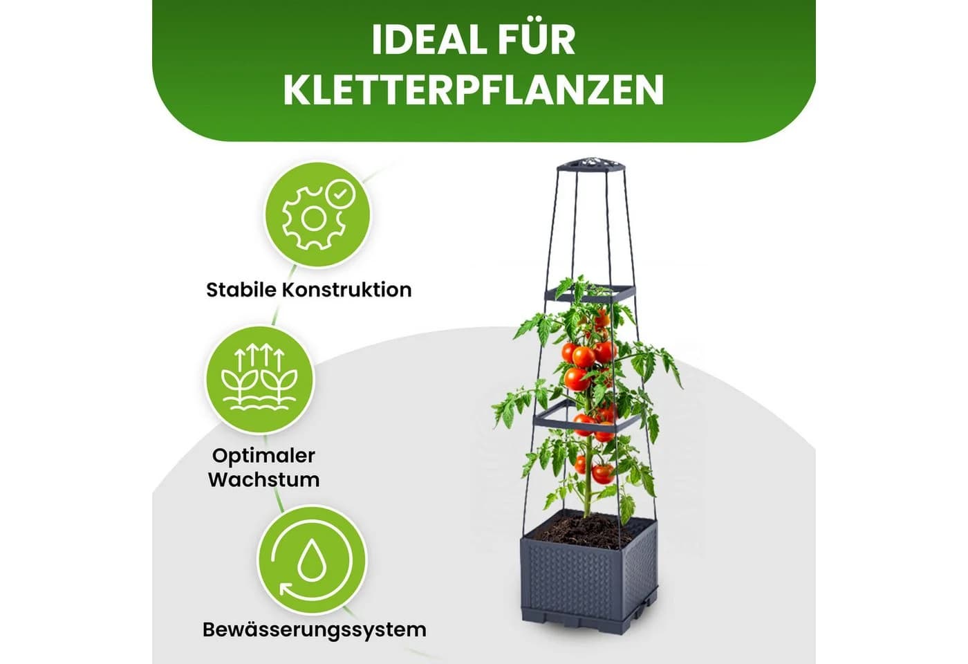 Gartenwelt Riegelsberger Blumenkasten mit Rankhilfe 3 Ebenen