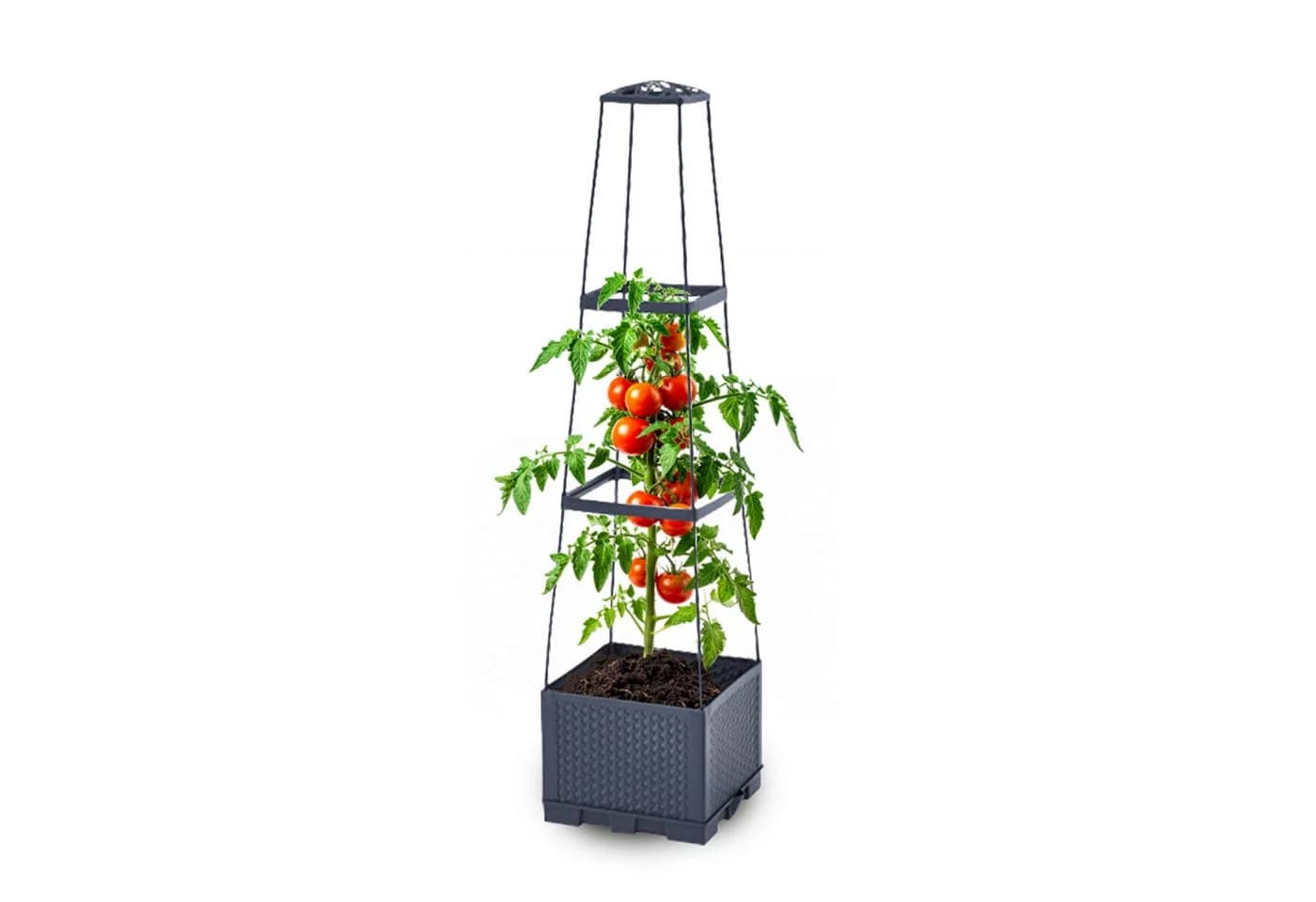 Gartenwelt Riegelsberger Blumenkasten mit Rankhilfe 3 Ebenen - Bild 2