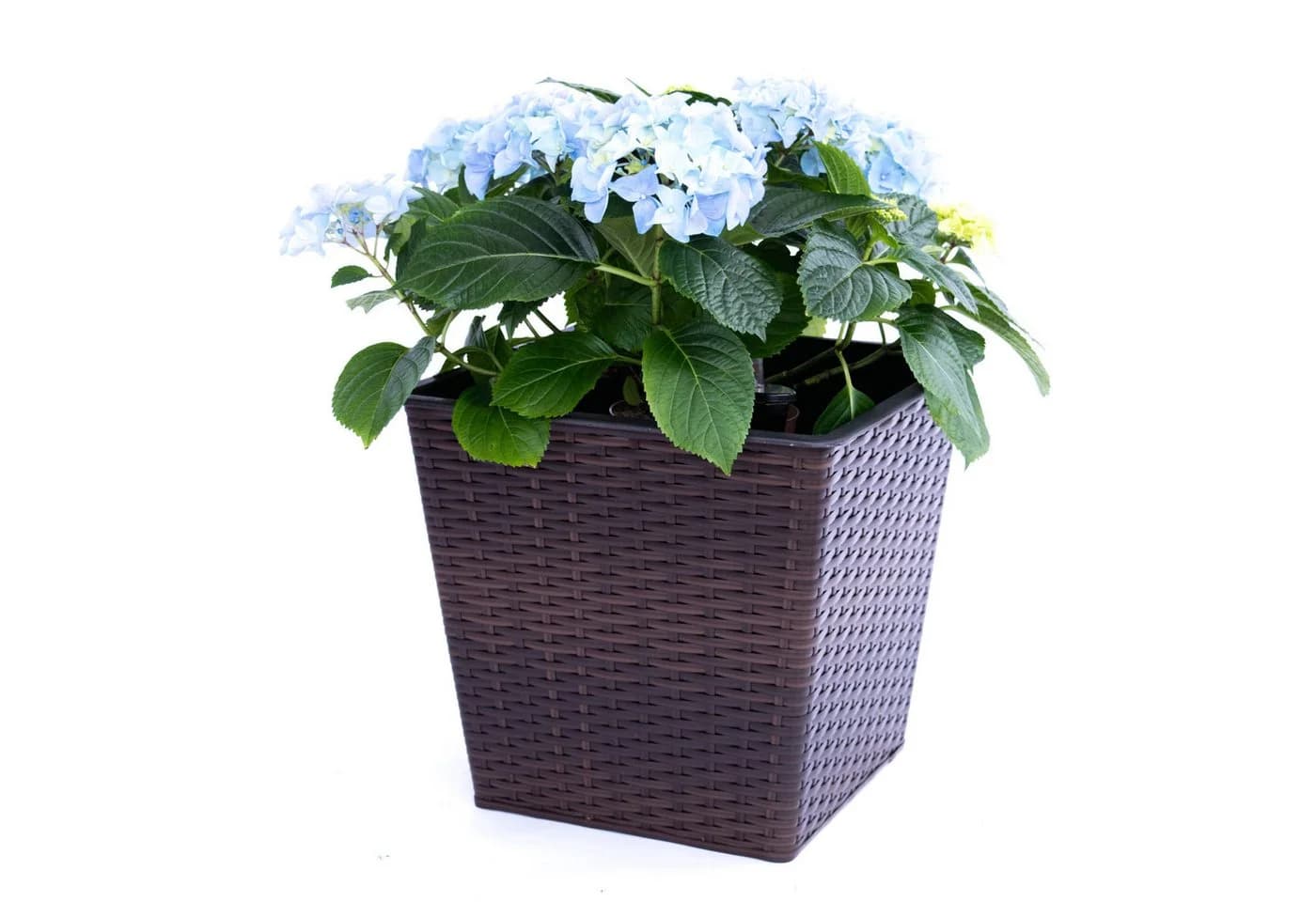 Elegant Einrichten Pflanzkübel Polyrattan coffeebraun - Bild 2