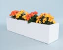 Elegant Einrichten Pflanzkübel Fiberglas Rechteckig 100x25x25cm Perlmutweiß Bild 1