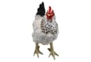 Fachhandel Plus Tierfigur Henne Eva lebensechte Gartenfigur Bild 3