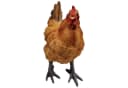 Fachhandel Plus Tierfigur Henne Huhn ROSI lebensechte Gartenfigur Bild 1