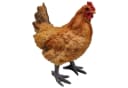 Fachhandel Plus Tierfigur Henne Huhn ROSI lebensechte Gartenfigur Bild 2