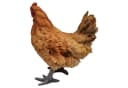 Fachhandel Plus Tierfigur Henne Huhn ROSI lebensechte Gartenfigur Bild 3