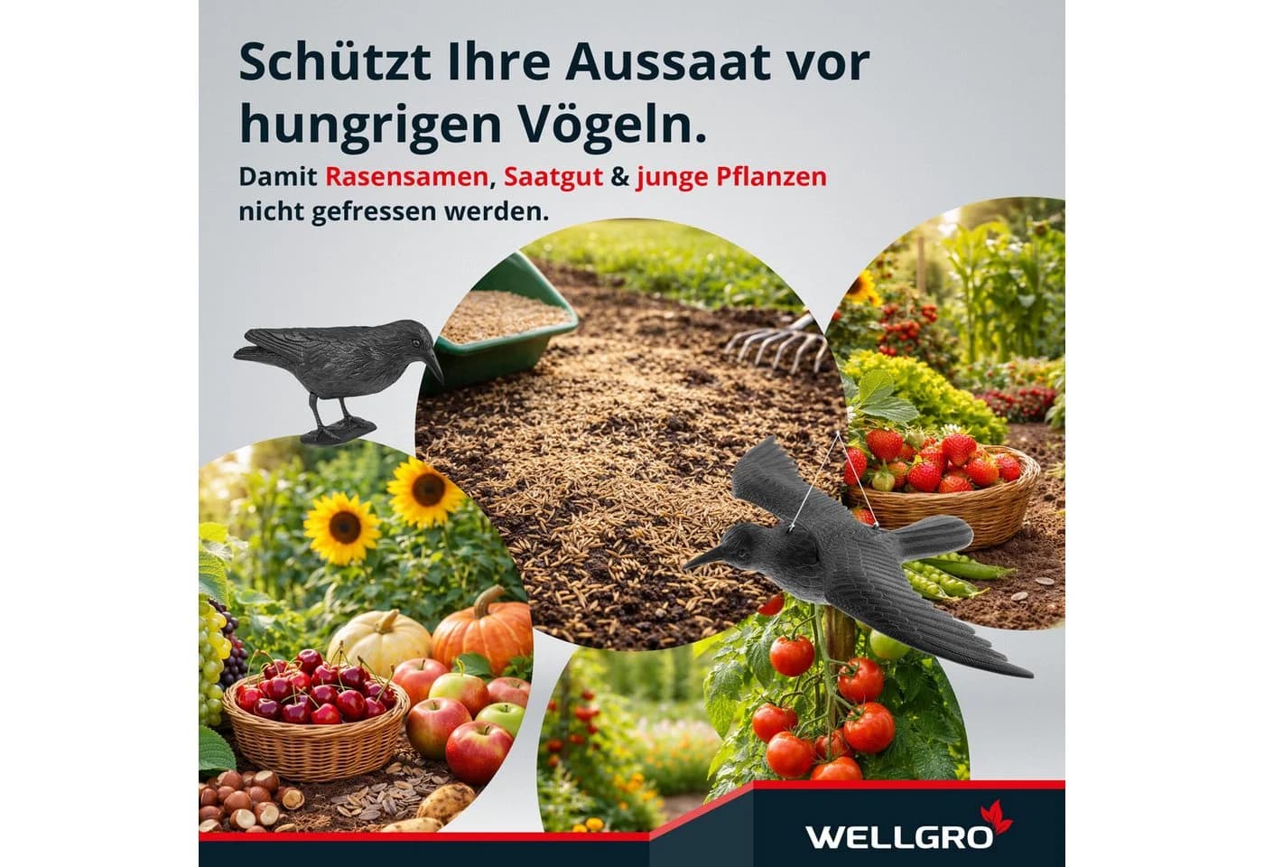 WELLGRO Vogelschreck Krähe sitzend 4er Set Schwarz UV-beständig - Bild 5