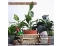 Engelland Blumentopf mit Drainagesystem Grau PP-Kunststoff Bild 3