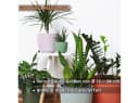 Engelland Blumentopf mit Drainagesystem Grau PP-Kunststoff Bild 5