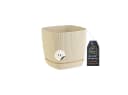 Engelland Blumentopf Beige mit Drainagesystem & Untersetzer Bild 2