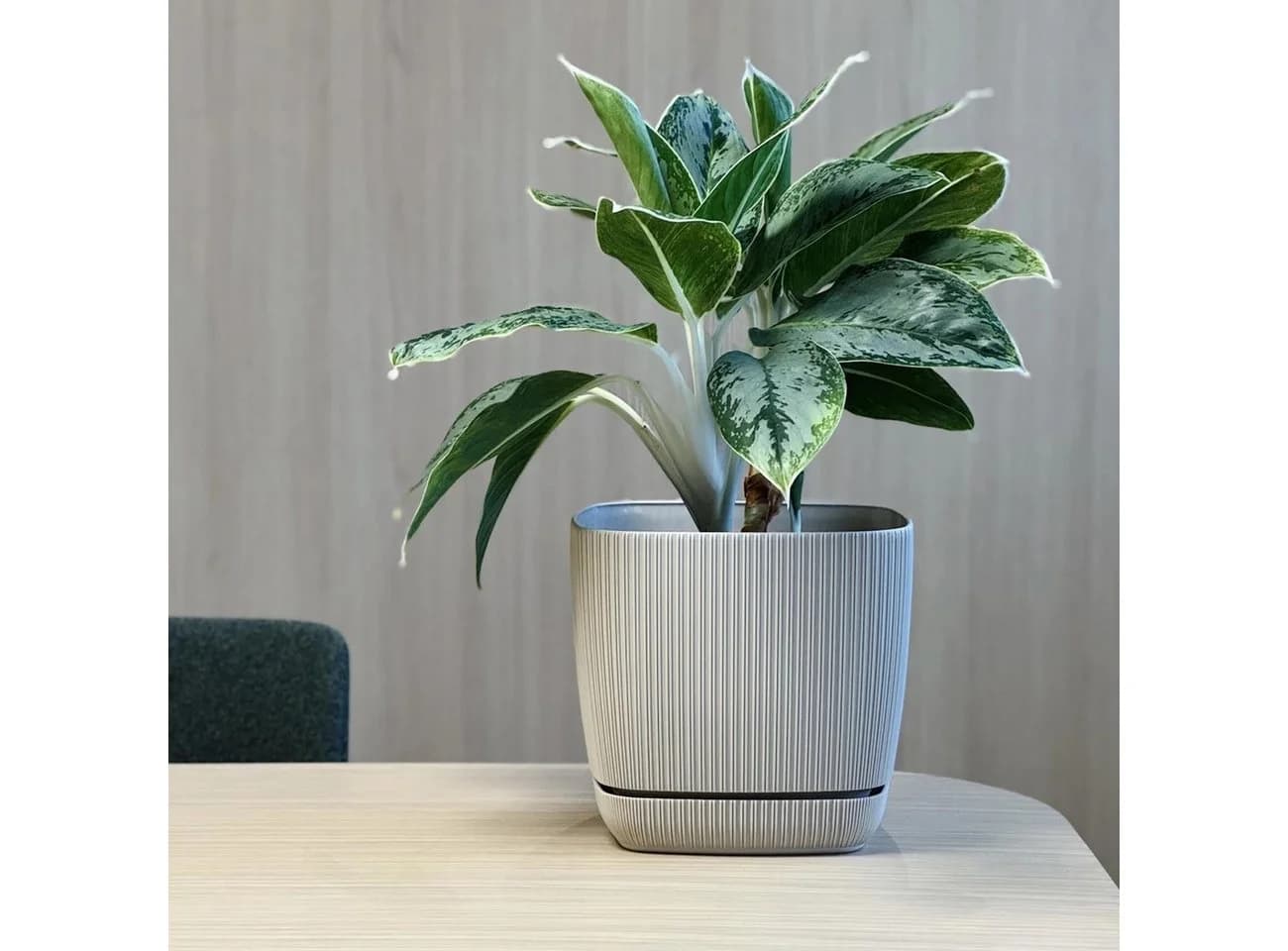 Engelland Blumentopf Beige mit Drainagesystem & Untersetzer - Bild 5
