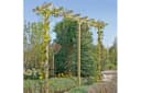 Gartenpirat Pergola 450 cm lang Torbogen Rankhilfe Bild 1