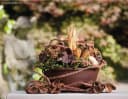 matches21 HOME & HOBBY Pflanzschale Braun Kunststoff 25 cm Bild 1
