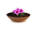 matches21 HOME & HOBBY Blumentopf Pflanzschale für draußen Dekoschale rund Rost-Optik 28 cm Bild 2