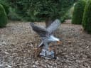 gartendekoparadies.de Gartenfigur Adler Steinfigur Grau Bild 5