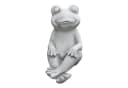 gartendekoparadies.de Gartenfigur Froggi Frosch Frostsicher Grau Bild 1