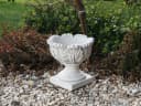 gartendekoparadies.de Pflanzkübel Eichenblatt-Design 6 Liter Bild 4