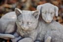 gartendekoparadies.de Gartenfigur Hund und Katze Grau Steinguss Bild 3