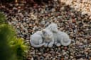 gartendekoparadies.de Gartenfigur Hund und Katze Grau Steinguss Bild 5
