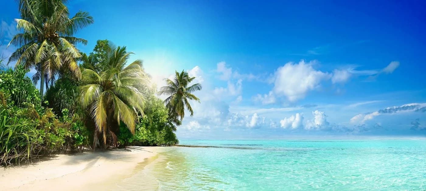 GartenHero Seitenmarkise ausziehbar mit Sichtschutz Motiv Insel - Bild 3