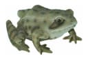 dazikemo Gartenfigur Frosch aus Kunststein Bild 4