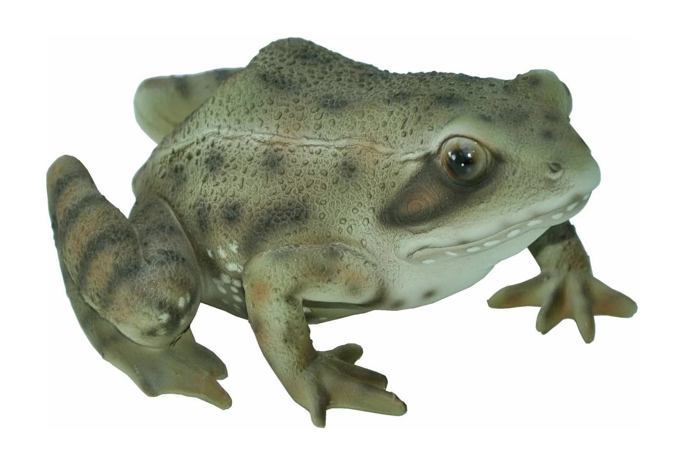 dazikemo Gartenfigur Frosch aus Kunststein - Bild 4