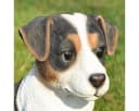 dazikemo Gartenfigur Jack Russel Detailgetreu Kunststein Bild 3