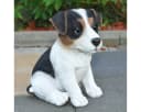 dazikemo Gartenfigur Jack Russel Detailgetreu Kunststein Bild 5