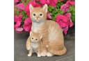 dazikemo Gartenfigur Katze mit Katzenbaby Brauner Kunststein Bild 2