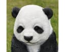 Dazikemo Gartenfigur Sitzender Pandabär Kunststein Deko Bild 4
