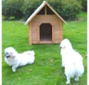 Melko Hundehütte Wetterfest Blockhaus Stil Bild 1