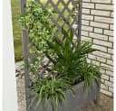 Melko Blumenkasten mit Rankgitter Grau Vollholz Garten Bild 5