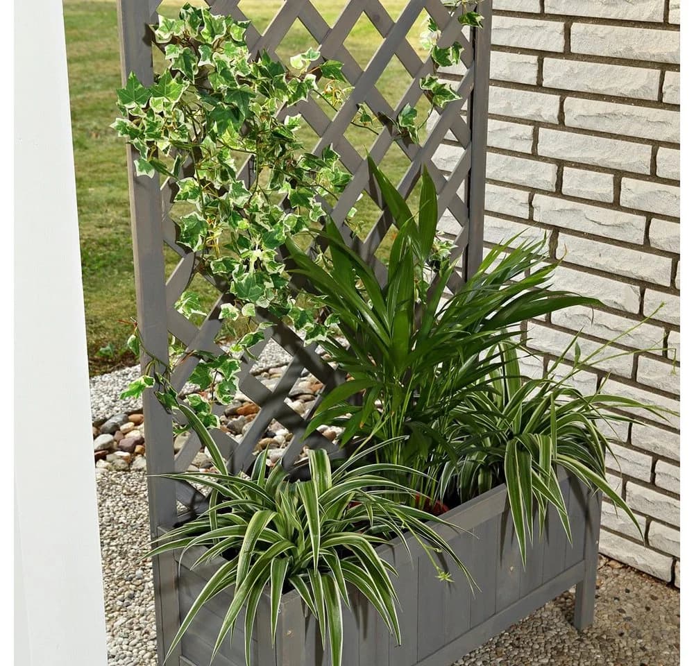 Melko Blumenkasten mit Rankgitter Grau Vollholz Garten - Bild 5