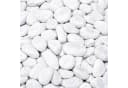BURI Marmorkies Carrara Weiß 15-25mm 20kg Zierkies Bild 2