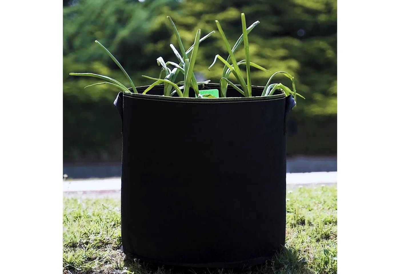 Praknu Pflanzsack 60l 3er Set Schwarz Vliesstoff mit Griff