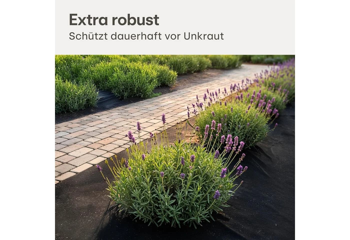 Praknu Unkrautvlies 100g/m² 10m² Schwarz mit 8 Erdankern - Bild 3