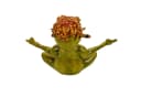 Online-Fuchs Yoga Frosch Gartenfigur Set Bild 5