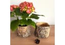 Online-Fuchs Blumentopf 2er Set Holzdesign Beton Bild 3