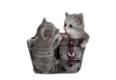 Online-Fuchs Gartenfigur Katzen mit Blumentopf Bild 1