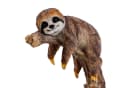 Online-Fuchs Gartenfigur 2 Faultiere mit Baum wetterfest Bild 4