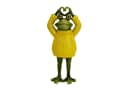 Online-Fuchs Gartenfigur Frosch mit Pullover Gelb Wetterfest Bild 1