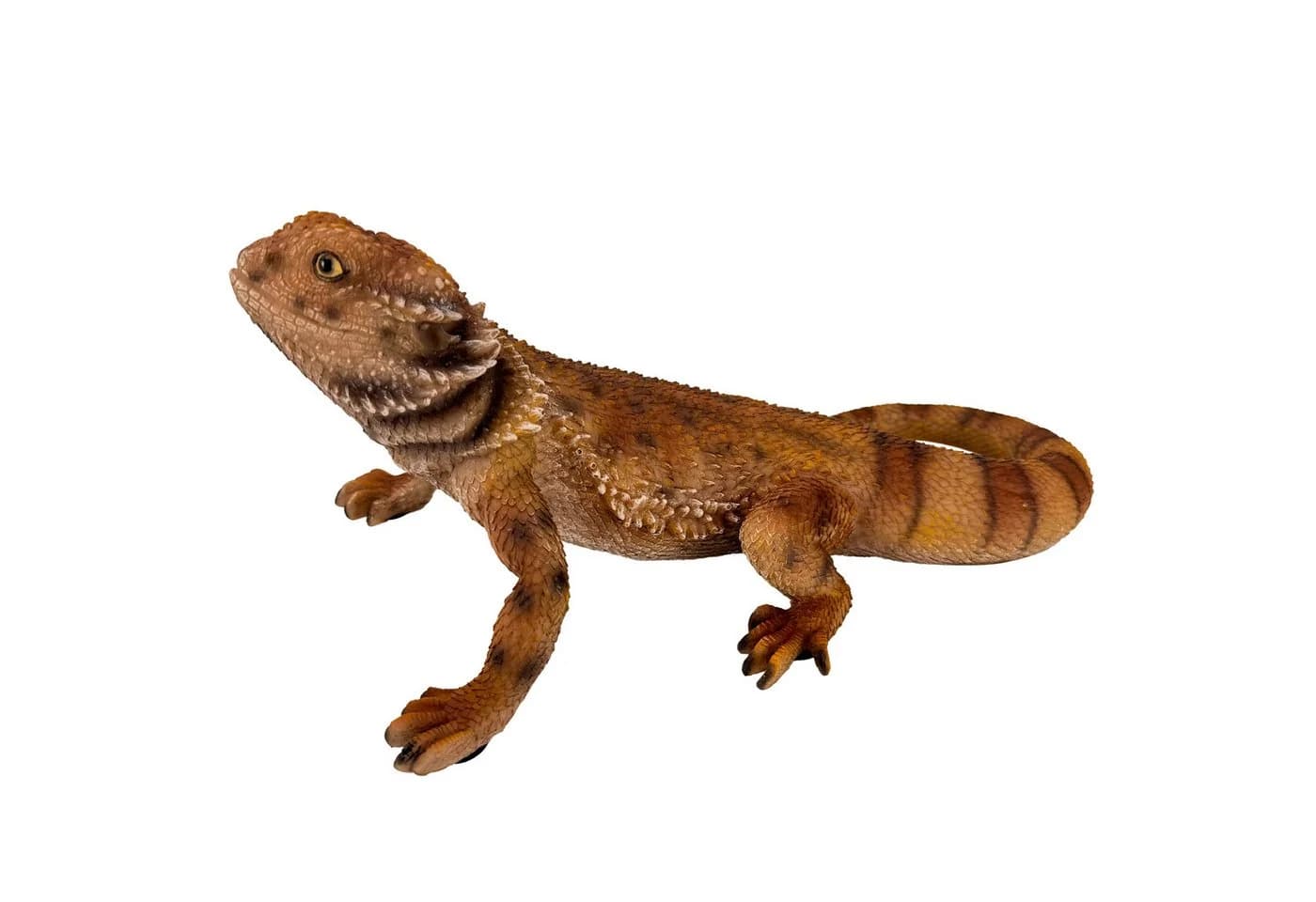 Online-Fuchs Gartenfigur Bartagame Eidechse 34 cm Polyresin