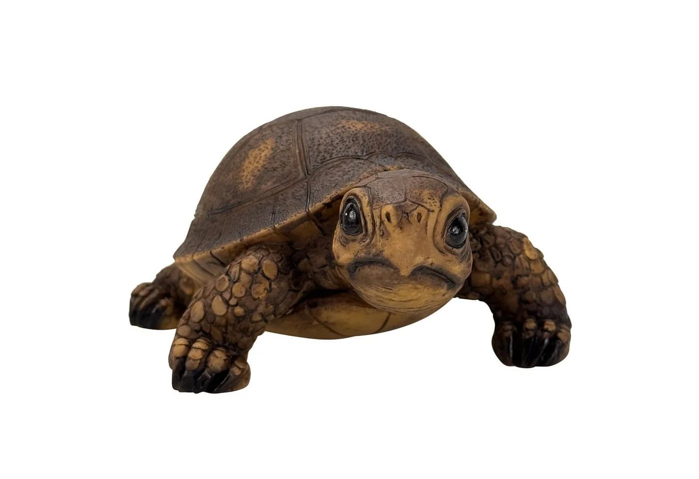 Online-Fuchs Teichfigur Schildkröte 18 cm Kunstharz Beige - Bild 3