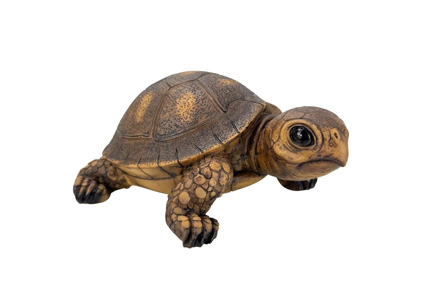 Online-Fuchs Teichfigur Schildkröte 18 cm Kunstharz Beige - Bild 4
