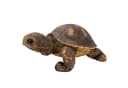 Online-Fuchs Teichfigur Schildkröte 18 cm Kunstharz Beige Bild 5