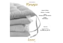Lavea Stuhlkissen MONACO - 40x40x3 cm, wetterfest, Indoor/Outdoor, 4er/8er Set Bild 3
