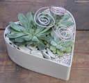 matches21 HOME & HOBBY Blumentopf Herz Kunststoffschale hellgrau 1 Stk Bild 1
